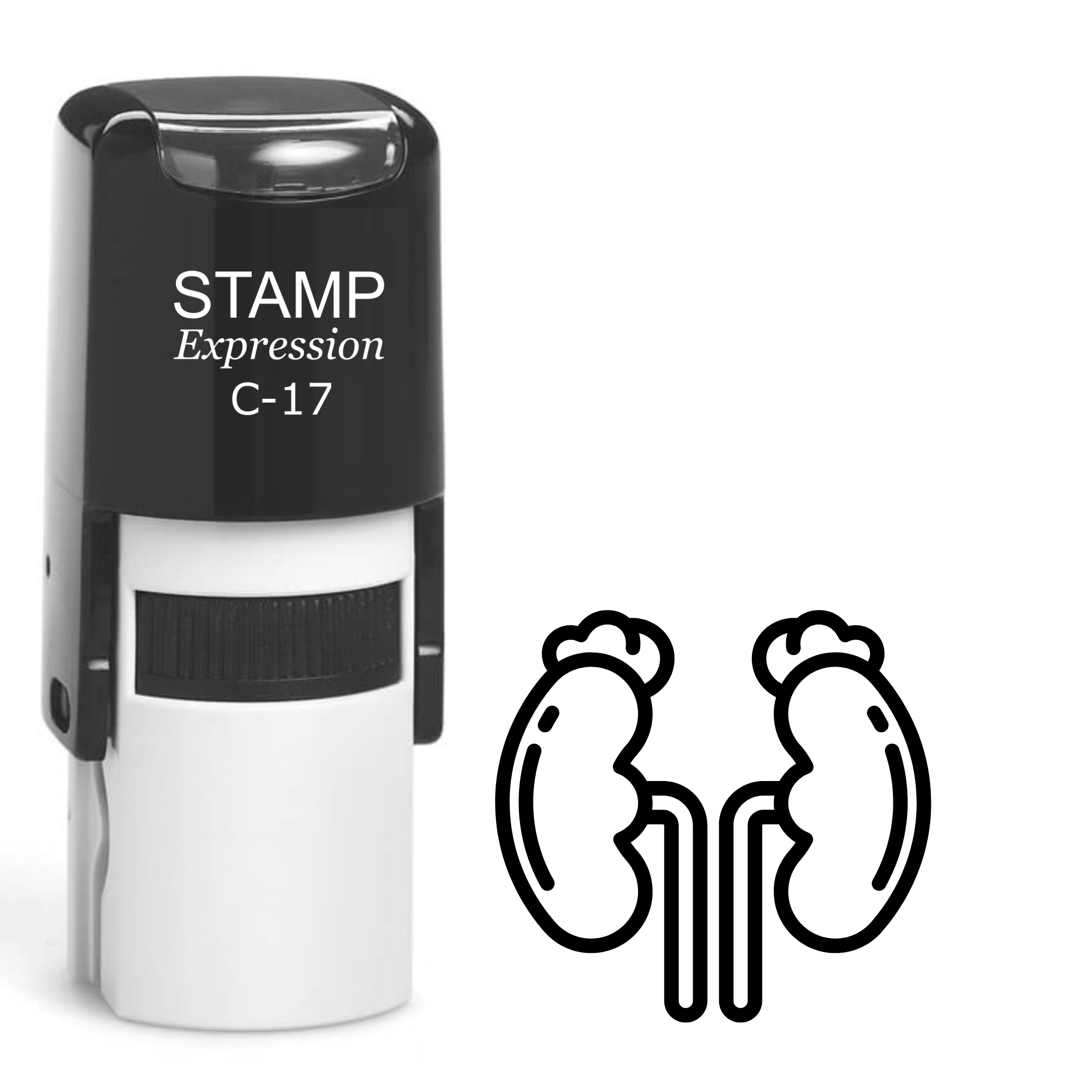 Kidneys outline Self Inking Rubber Stamp (SH-64666)