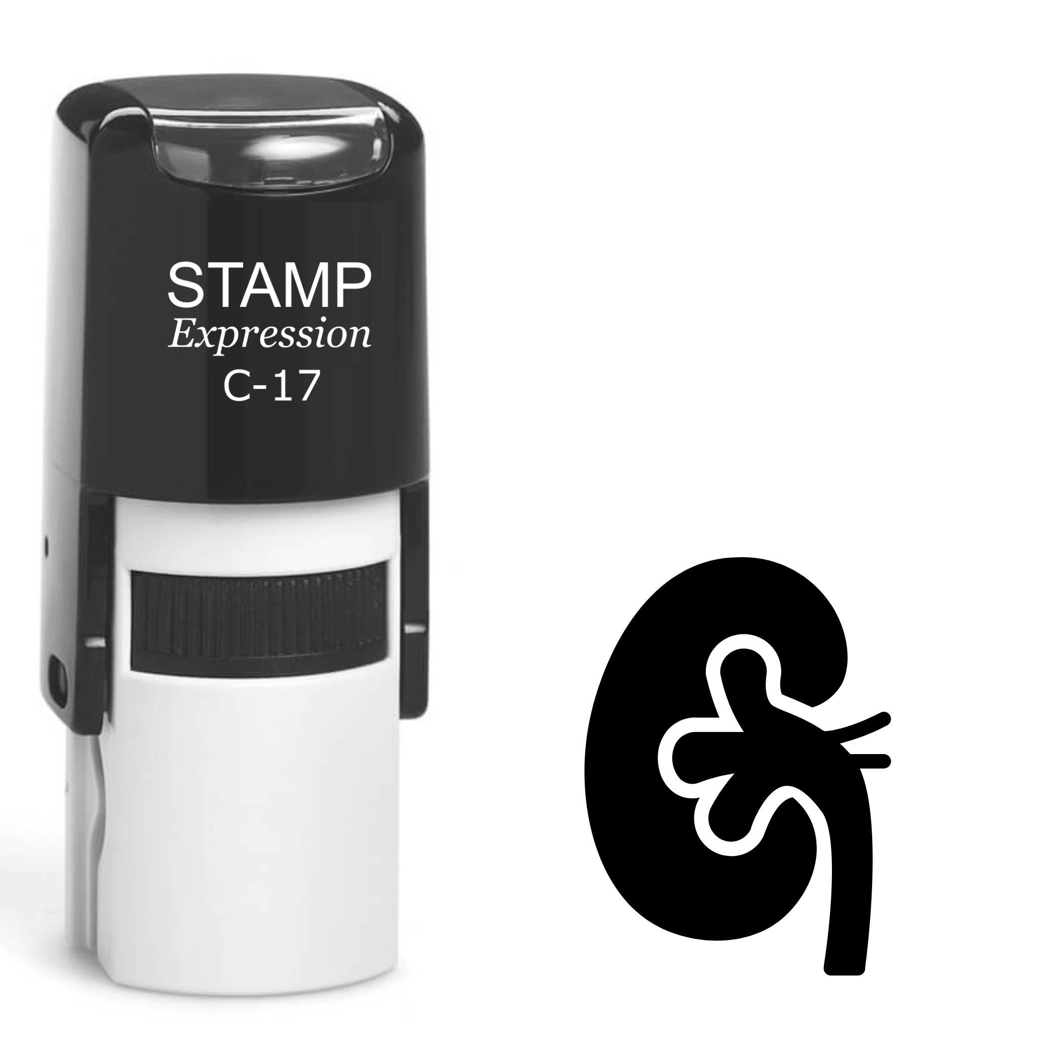 Kidney Self Inking Rubber Stamp (SH-62269)