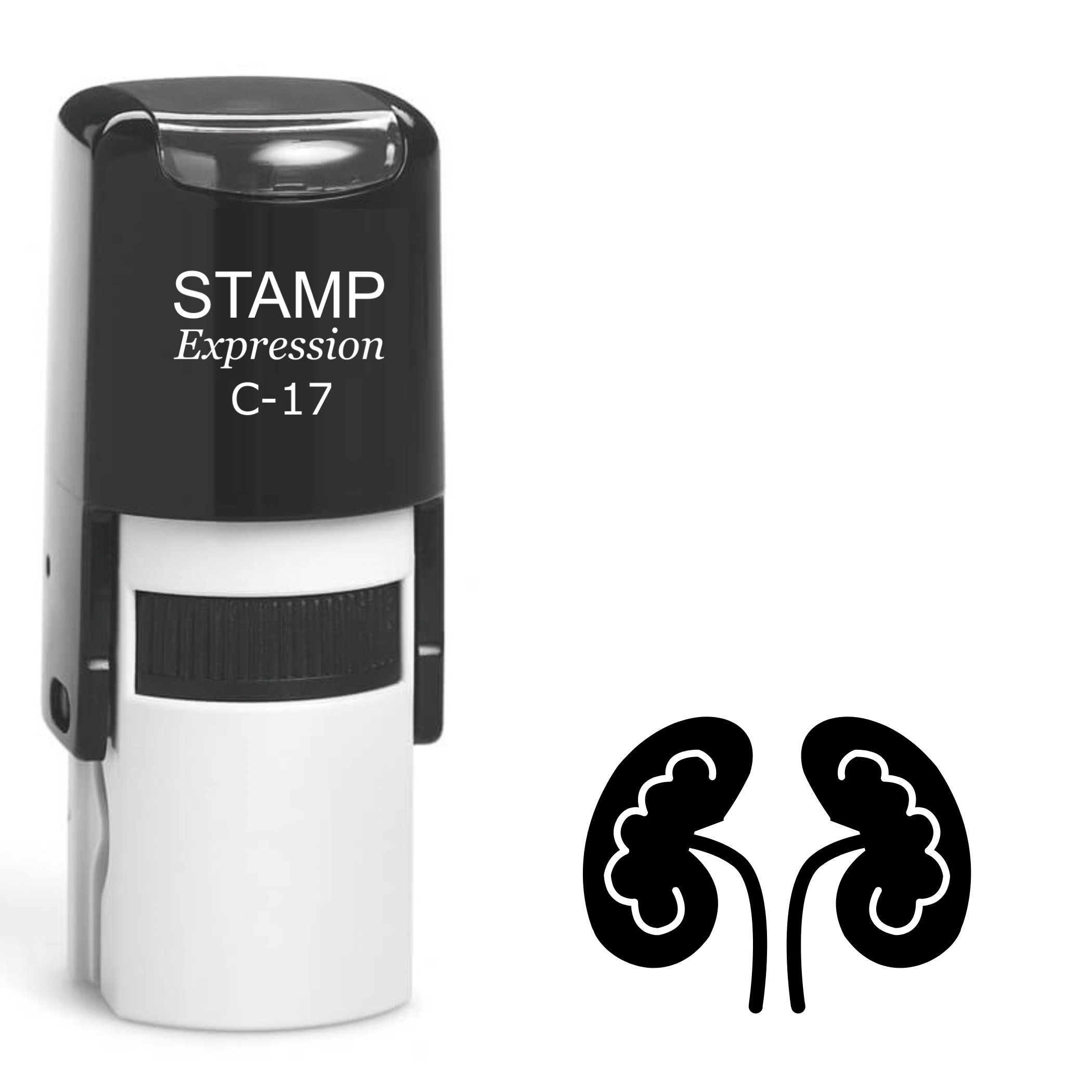 Kidneys Self Inking Rubber Stamp (SH-62270)